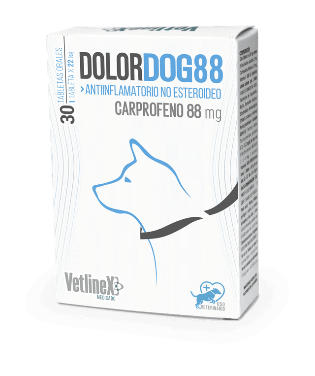 DOLORDOG 88 CAJA